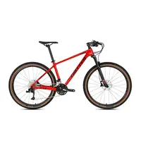 Tam süspansiyon karbon fiber 29er dağ bisikleti e bisiklet tam karbon fiber katlanır özel oem 29 inç