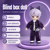 Figurine articulée BJD Nagi Study Tour en boîte mystère, personnage d'anime pour les passionnés d'anime