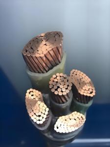 Câble d'alimentation électrique YJY gainé de polyéthylène isolé XLPE échoué pour un usage industriel environnements souterrains extérieurs humides - Product Image 4