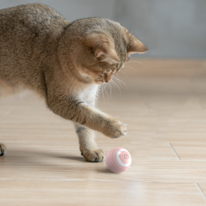 Jouet pour chat intelligent, nouvelle balle automatique qui roule, jouet d'entraînement pour chaton, jouet à mâcher pour animaux de compagnie, jouet interactif pour chat - Product Image 5