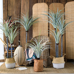 Wholesale Large Nordic Style <b>Artificial</b> Plastic UV Resistance High Quality Indoor Hotel Office Fresh Decorative Plant Potted - Product Image 3