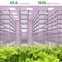 Plus rentable que le système d'agriculture verticale en tour hydroponique pour la culture commerciale de la laitue