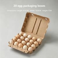 Caja de Embalaje para Huevos de Pulpa Biodegradable y Ecológica con Relieve, Cajas de Cartón Resistentes a Impactos y Caídas