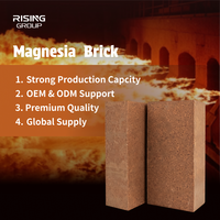Briques de magnésite fusionnée certifiées CE, fournies directement par l'usine, briques réfractaires en magnésite pour l'industrie sidérurgique
