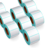 Étiquettes autocollantes thermiques directe 4x6 pouces, impression de 250 étiquettes/rouleau