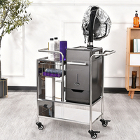 Vaporisateur capillaire professionnel à micro-brume ultrasonique avec ozone pour traitement capillaire en profondeur, équipement de spa capillaire de qualité salon