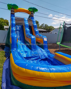 Jeux de glissades aquatiques gonflables Dolphin, équipement de parc de trampoline, glissade d'évasion, aire de jeux gonflable, château gonflable pour enfants - Product Image 3