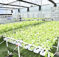 Système hydroponique écologique pour la culture de NFT, serre commerciale, canal hydroponique en PVC de qualité alimentaire pour la culture verticale de la laitue/les herbes