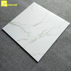 foshan woonkamer mono kleur wit keramische vloer en wand tegel 60x60