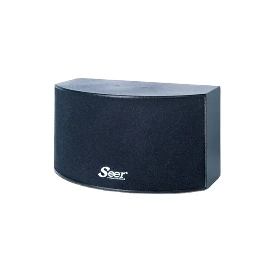 Professional Wireless Audio KTV Speaker with LCD Touch Screen 100W RMS PA System
