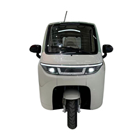 Coche Eléctrico Sin Licencia de Conducir, Vehículo Eléctrico, Triciclo, Automóvil, Movilidad Eléctrica L2e Eec, Scooter Eléctrico