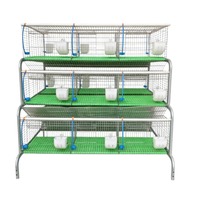 Cage d'élevage de lapins commerciale robuste en acier galvanisé avec système d'alimentation