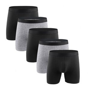 High Quality Men's Mesh <b>Boxer</b> Briefs Cooling Breathable Men's Performance Underwear With Functional <b>Fly</b> - Product Image 4