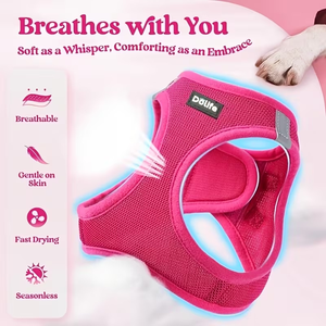 Breathable Mesh Pet Harness Vest Reflective Dog Harness Step In No Pull with Leash for Small Dogs Cats - Product Image 4