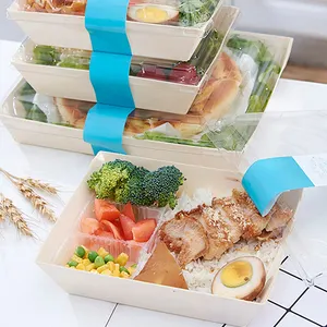 Fabriek Direct Gratis Monster Maaltijd Prep Container Lunch Bento Voedsel Container Gespecialiseerd Voor Sushi En Desserts