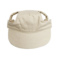 Accessoires pour animaux de compagnie en gros, casquettes en coton tendance pour animaux de compagnie, casquette de baseball réglable pour chiens et chats