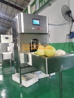 Hoge Efficiëntie Automatische Ananas Pomelo Pompoen Schilmachine Mango Watermeloen Dunschiller