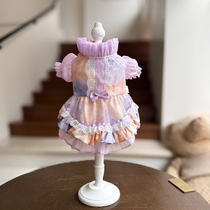 Vêtements d'hiver pour chiens, nouveau style, robe de princesse pour petits chiens et combinaison pour Bichon Frise, vente en gros disponible - Product Image 6