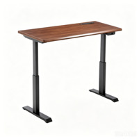 Table de bureau électrique réglable pour e-sport, vente en gros d'usine, double moteur, surface en bois massif d'hévéa, pour chambre et maison