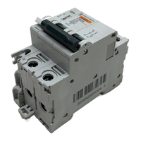 Interruptor Automático en Miniatura Plc C60N 24324 / 26924 Apto para RIN, 16A 2... Venta al por Mayor