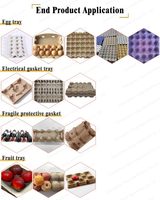 Línea de Producción Completa Totalmente Automática de Alta Velocidad para Moldeo de Pulpa de Papel, Bandejas de Huevos y Hormas de Papel