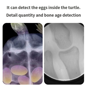 מערכת רנטגן ניידת כף-יד מתקדמת של מערכת X-זרוע לניתוחים וטרינריים - Product Image 4