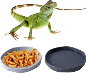 Paquete de 4 platos <span class=keywords><strong>pequeños</strong></span> para comida de reptiles, plato de agua de gusano de plástico para lagarto, Gecko, dragón barbudo, camaleón, blanco y gris - Product Image 1