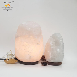 Uitstekende Kwaliteit 100% Natuurlijke Himalayan Witte Zoutlampen Met De Hand Gesneden Zoutlampen Voor Kantoor En Thuis - Product Image 5
