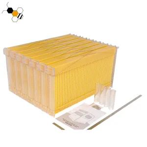 Plastic beehive frame 7pcs auto frames honey comb hive beehive beekeeping