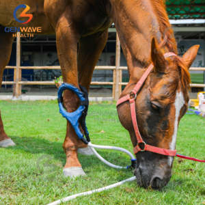 Máquina de terapia de caballos Máquina de animales Máquina de terapia magnética Pemf Loop Pemf Gauss Soporte para condiciones crónicas - Product Image 2