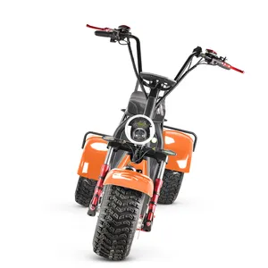 4000W Trike Bike 60V 40ah Batterij Elektrische Scooter 3 Wiel Elektrische Scooter Met Pedaal Citycoco E Chopper