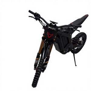 <span class=keywords><strong>Moto</strong></span> tout-terrain électrique Arctic Leopard XF PRO, moteur central 12KW, 95 km/h, hors route, E-<span class=keywords><strong>Moto</strong></span> - Product Image 2