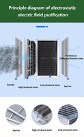 Filtres ESP en acier inoxydable pour machines de traitement des gaz de cuisine commerciales, précipitateur électrostatique, extracteur de fumée de cuisson