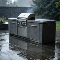 Ensemble de cuisine extérieure en acier inoxydable résistant aux intempéries haute performance pour maisons de luxe, armoires de cuisine extérieures modulaires