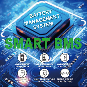 300Ahマリン24 V 12.8V Bateria 50AhソーラーシステムLi Ion Lifepo4 12V 24ボルトリチウム電池 - Product Image 5