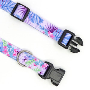 Colliers pour animaux personnalisés avec logo sur mesure, sangles de haute qualité, colliers pour chien pour promenades en extérieur. - Product Image 6