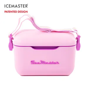 IceMaster 21QT时尚功能啤酒冷却器罐装卡车