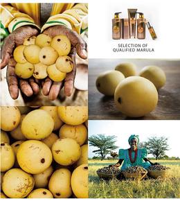 Kupa-tratamiento profesional para el cabello, acondicionador de pelo sedoso, alisador - Product Image 6