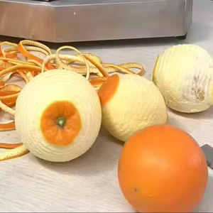 Máquina Peladora de Frutas y Verduras de Alto Rendimiento, Automática, de Acero Inoxidable 304, para Cítricos, Pomelo, Fácil Operación, 380V, 1 Año de Garantía - Product Image 1