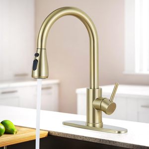 Brushed Gold Kitchen <strong>Faucet</strong> with Pull Down Sprayer, Single Handle <strong>RV</strong> Kitchen Sink <strong>Faucet</strong> with Pull Out Sprayer - Product Image 1