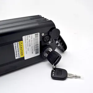 Pabrik kualitas terbaik berbagai jenis 36V 16ah 18650 baterai Lithium ion Pak baterai lithium baterai ikan perak untuk e-bike