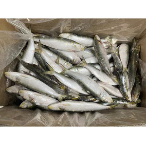 <span class=keywords><strong>Sardinas</strong></span> Enteras Congeladas, Tamaño 100-200g, Paquete de Cartón a Granel, Proveedor a Granel, Envío Global - Product Image 5