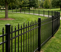 Clôture de jardin en acier galvanisé à chaud avec pointes décoratives en aluminium, idéale pour la décoration du périmètre des villas et des zones périurbaines (avant et arrière).