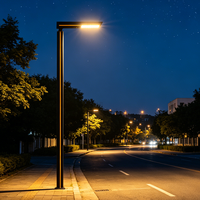 Lampadaires LED à indice de protection IP65, fabriqués en usine, avec boîtiers en aluminium moulé sous pression pour une utilisation routière, offrant une dissipation rapide de la chaleur