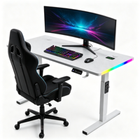 Meja Gaming RGB Berdiri dengan Permukaan Serat Karbon dan Lampu LED untuk PC