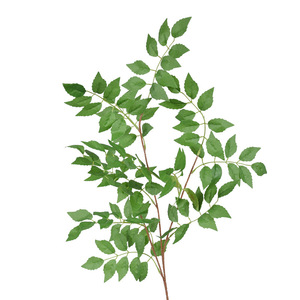Plante artificielle en feuilles de trompette de Dongchen Crafts, 30cm-100cm, fleur en soie, décoration pour la maison et les mariages - Product Image 5