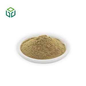 Venda em Lote de Pó de Suco de <span class=keywords><strong>Aloe</strong></span> <span class=keywords><strong>Vera</strong></span> 99% Puro, Extrato Herbal Certificado Orgânico em Embalagem de Garrafa/Tambor - Product Image 2