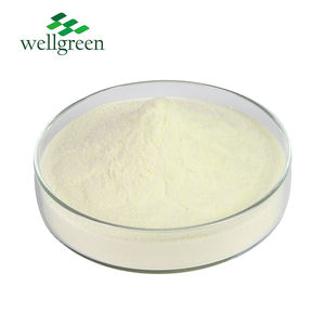 Wellgreen fabrika doğal içecek kullanımı suda çözünür yoğunlaştırılmış meyve suyu elma tozu - Product Image 3