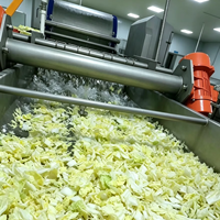 Industriële automatische fruit- en groentewaslijn voor bladgroenten en wortelgewassen, inclusief productie-apparatuur met bubbelwasser
