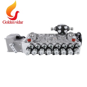 Golden Vidar 全新高品质柴油喷油泵 0402618813 斗山发动机喷油泵替换零件 - Product Image 5